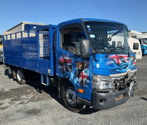 2019 Hino Dutro